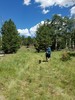 photo thumbnail #2