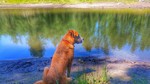 photo thumbnail #7