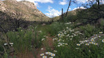 photo thumbnail #8