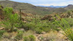photo thumbnail #15