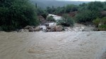 photo thumbnail #1
