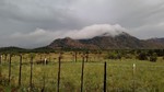 photo thumbnail #2
