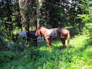 photo thumbnail #14