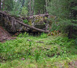photo thumbnail #14
