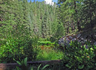 photo thumbnail #8