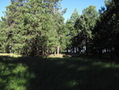 photo thumbnail #2