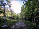 photo thumbnail #4