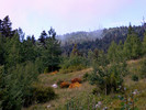 photo thumbnail #10