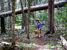 photo thumbnail #14