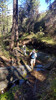 photo thumbnail #5