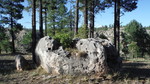 photo thumbnail #10
