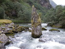 photo thumbnail #8