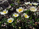 photo thumbnail #11