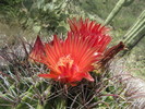 photo thumbnail #11
