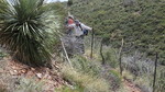 photo thumbnail #2
