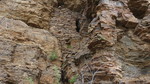 photo thumbnail #14
