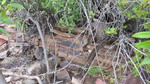 photo thumbnail #15