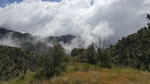 photo thumbnail #15