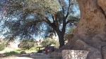 photo thumbnail #8