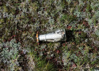 photo thumbnail #8