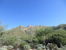 photo thumbnail #1