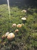 photo thumbnail #3