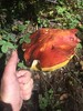 photo thumbnail #5