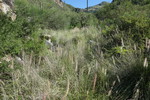 photo thumbnail #1
