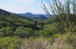 photo thumbnail #5