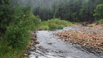 photo thumbnail #13