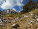 photo thumbnail #6