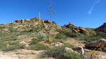 photo thumbnail #14