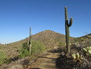 photo thumbnail #2