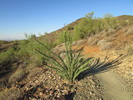 photo thumbnail #7