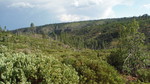 photo thumbnail #14