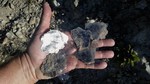 photo thumbnail #1