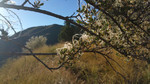 photo thumbnail #13