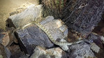 photo thumbnail #1