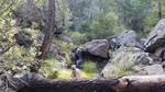 photo thumbnail #11