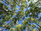 photo thumbnail #14