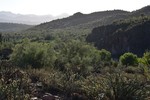photo thumbnail #6