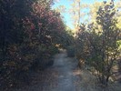 photo thumbnail #4