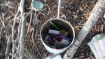 photo thumbnail #11