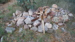 photo thumbnail #13