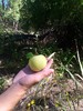 photo thumbnail #5