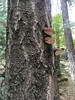photo thumbnail #10