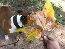 photo thumbnail #7