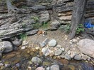 photo thumbnail #9