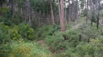 photo thumbnail #9