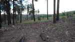 photo thumbnail #13